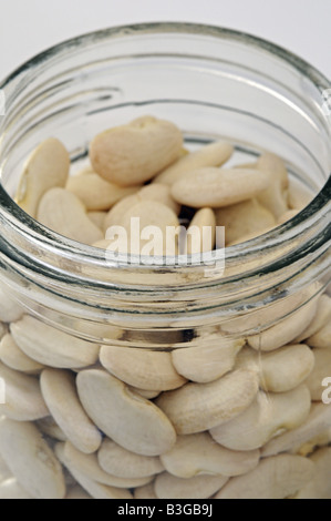 Getrocknete Bohnen in Butter Phaseolus Lunatus in einem Glas Stockfoto