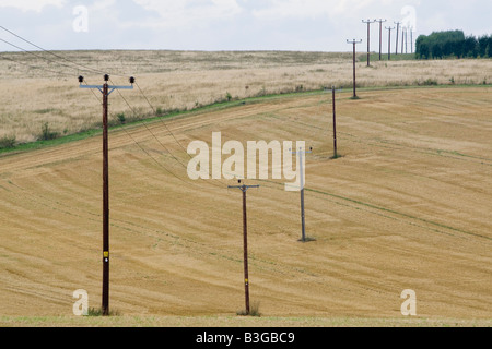 Telegrafenmasten mit Stromkabeln auf abgeernteten Weizenfelder auf Hoo Halbinsel North Kent UK Stockfoto