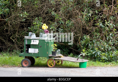 Hausgemachte am Straßenrand Stall für Pflanzen und Blumen Stockfoto