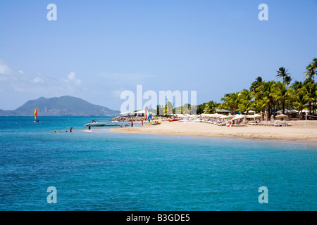 Atemberaubende Pinneys Strand mit Kokospalmen auf Nevis in der Karibik Stockfoto