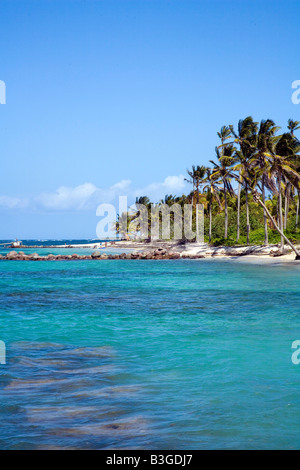 Herrlichen Sandstrand mit Kokospalmen am Nevis Karibik Stockfoto