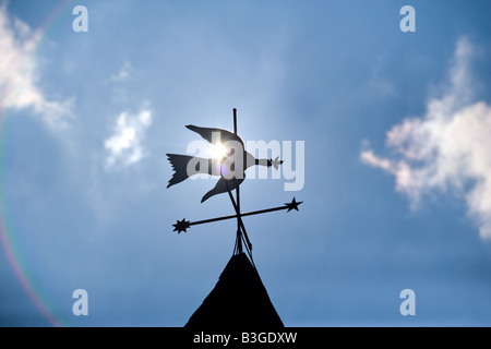 Ein Vogel Wetterfahne auf einer Farm in Litchfield, Connecticut USA mit Sonnenlicht Stockfoto