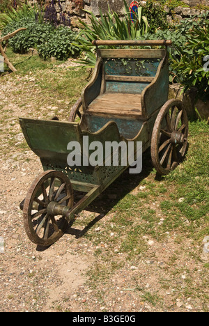 Alte hölzerne Schubkarre in einem Garten, Stockrosen und alte Holzhütte