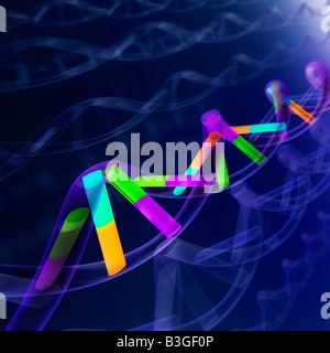 DNA-Sequenz Stockfoto