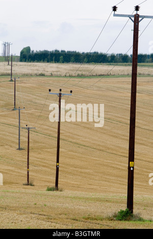 Telegrafenmasten mit Stromkabeln auf abgeernteten Weizenfelder auf Hoo Halbinsel North Kent UK Stockfoto