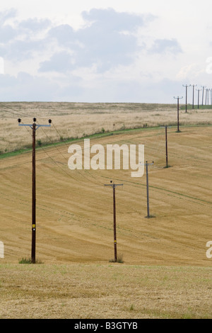 Telegrafenmasten mit Stromkabeln auf abgeernteten Weizenfelder auf Hoo Halbinsel North Kent UK Stockfoto