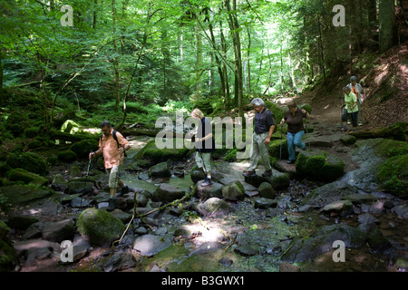 Zu Fuß Freunde überqueren Fluss Felsbrocken Gänsemarsch in den alten Wald von Monbachtal Bach im Schwarzwald. Stockfoto