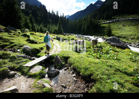 AUT, Österreich, Tirol: Stubaital, Stubaital. Wandern zum Grawa Wasserfall. Stockfoto