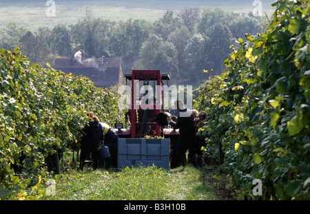 Vintage Bad Sulza Thüringen Stockfoto