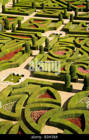 Nahaufnahme von der Liebesgarten südlich von Schloss Villandry, Loiretal, Frankreich suchen. Stockfoto