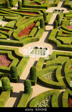 Nahaufnahme von der Liebesgarten südlich von Schloss Villandry, Loiretal, Frankreich suchen. Stockfoto