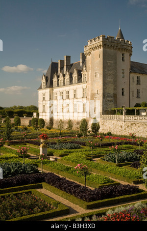 Nord Osten Ansicht der Potager Gemüsegärten Schloss Villandry Loiretal Frankreichs in der Nachmittagssonne Stockfoto