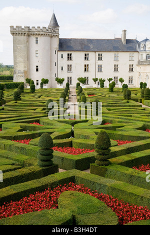 Das Malteserkreuz der Liebesgarten, Blick nach Norden zum Schloss Chateau de Villandry, Loiretal, Frankreich Stockfoto