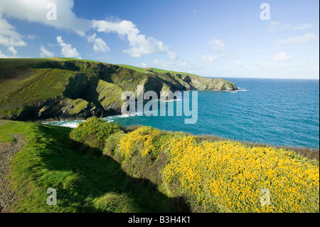 Varley Head in der Nähe von Port Isaac an der kornischen Küste UK Stockfoto