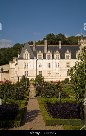 Westwand des Chateau Villandry, Loiretal, Frankreich in Nachmittagssonne aus dem unteren, Gemüsegarten (Gemüse) Garten. Stockfoto