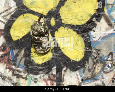 Army Cap und gelbe Blume Graffiti an der Wand Stockfoto