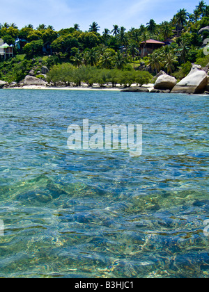 Korallen im Meer am Chalok Baan Kao Bay Koh Tao Thailand JPH0086 Stockfoto