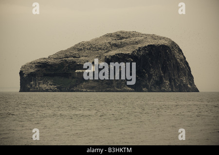 Der Bass Rock.  Im Firth of Forth aus North Berwick. Stockfoto