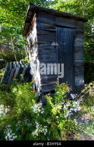 Eine 100 Jahre alte verwitterte Holz Plumpsklo im Wald. Stockfoto
