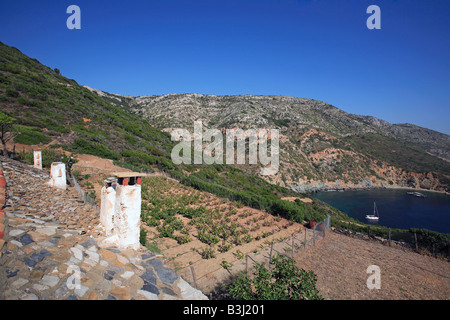 GRIECHENLAND SPORADEN KYRA PANAGIA BLICK VOM GRIECHISCHEN ORTHODOXEN KLOSTER Stockfoto