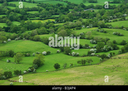 Die Aussicht auf das Hochmoor über den kleinen Feldern in der walisischen Grenzland entlang Offa es Dyke in der Nähe von Hay on Wye. Stockfoto