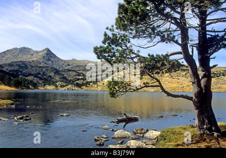 Pyrenäen Mountain Lake - Massiv von Carlit über den Lac des Bouillouses, Pyrénées-orientales, Languedoc-Roussillon, Frankreich Stockfoto