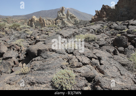 Ein erstarrter Lava-Fluss in der Nähe von Roques de Garcia im Nationalpark Las Canadas del Teide-Teneriffa-Kanarische Inseln-Spanien Stockfoto