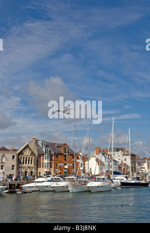 Yachten ankern unter blauem Himmel in der Nähe der Hafenmeister Gebäude im Hafen von Weymouth in Dorset Stockfoto