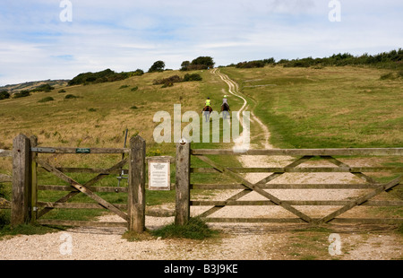 Reiter auf Tennyson Trail, Mottistone Down, Isle Of Wight, Großbritannien Stockfoto