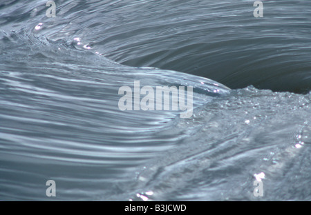 Wasser-Wirbel Stockfoto