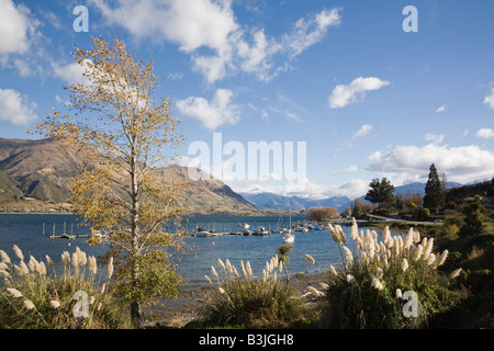 Wanaka Otago Südinsel Neuseeland Blick über Marina am südlichen Ende des Lake Wanaka, westlichen Ufer vom See Fuß Stockfoto