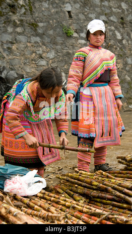 Zwei Flower Hmong Girls Sortierung durch einen Haufen von rohen Zuckerrohr Zweige in einem vietnamesischen Markt Stockfoto