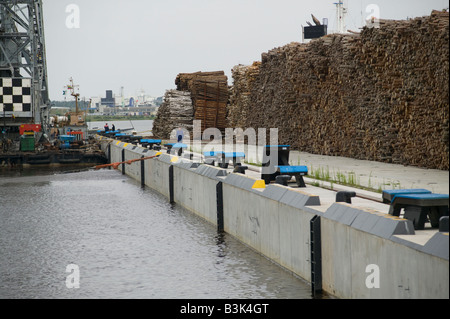 Birke Holz aufgestapelt auf den Docks im Hafen Klaipeda Litauen Export in Erwartung Stockfoto