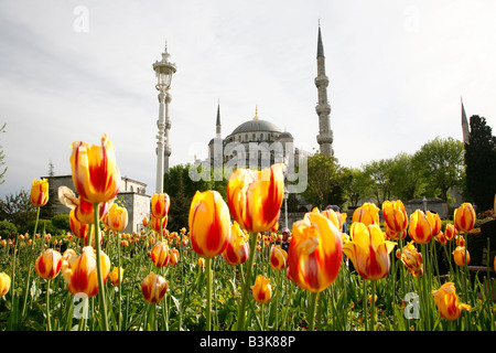 Mai 2008 - die blaue Moschee oder in seinen türkischen Namen Sultan Ahmet Camii Istanbul Türkei Stockfoto