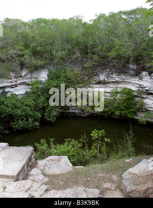 Cenote de Los Sacrificios, heilige Opfer nun, archäologische Stätte Chichen Itza, Chichen Itza, Halbinsel Yucatan, Mexiko Stockfoto