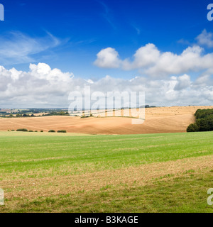 Englische Landschaft der Lincolnshire Wolds, England. UK Stockfoto