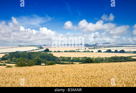 Lincolnshire Wolds, englische Landschaft, England, Großbritannien Stockfoto