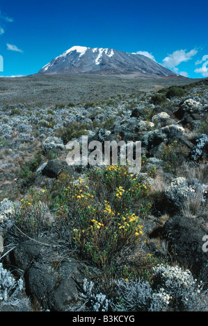 Kibo-Gipfel Mount Kilimanjaro Tansania Afrika Stockfoto