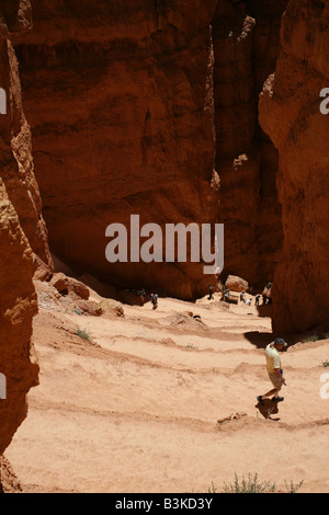 Bryce-Canyon-Nationalpark, Utah Stockfoto