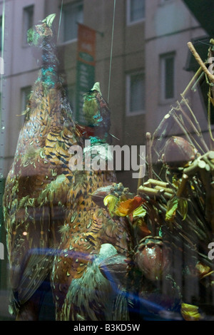 Schaufenster der Metzger zeigt lokale frisches Wild und Geflügel zu produzieren, zu verkaufen, Brüssel-Belgien Stockfoto