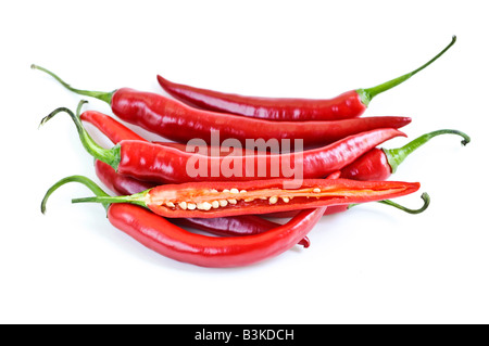 Rot-heiße Paprika isoliert auf weißem Hintergrund Stockfoto