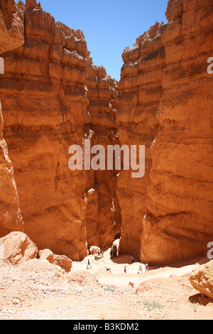 Bryce-Canyon-Nationalpark, Utah Stockfoto