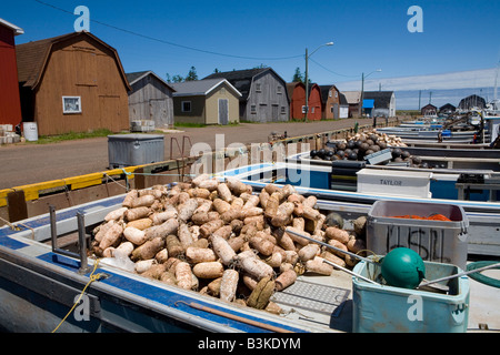 North Rustico Hafen Prince Edward Island Kanada Stockfoto