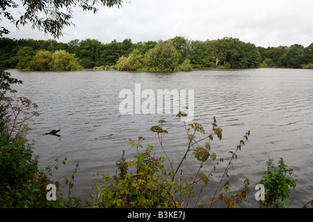 Terrys pool Natur Reservat Teil Earlswood Seen Warwickshire England uk Stockfoto