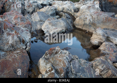 Felsenbad in einen halb ausgetrocknet Flussbett Stockfoto