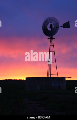 eine Windmühle Wasserholen aus einer Bohrung mit einem Vorratsbehälter neben, in Australien bei Sonnenaufgang Stockfoto