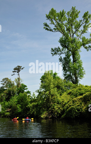 Ein paar bunte Kajaks auf der Dismal Swamp-Kanal während der 3. Mai 2008 Paddel für den Rahmen Stockfoto