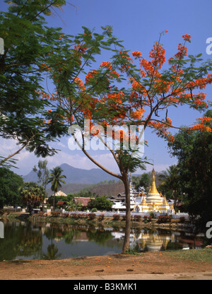 Wat Jong Kam und See, Mae Hong Son, Thailand. Stockfoto