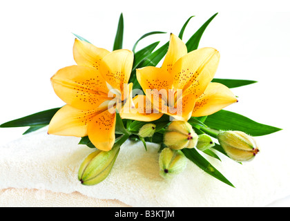 Stapel von weichen Luxuxtücher mit frischen Blumen Stockfoto