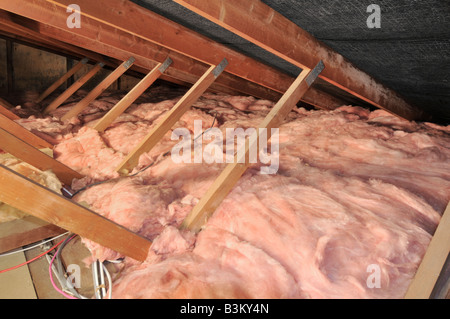 Nahaufnahme Haus Dachboden Loft Raum Haus Holz niedrigen Dach Pitch Traversen & energiesparende Glasfaserisolierung zwischen und über der Decke Balken England Großbritannien Stockfoto